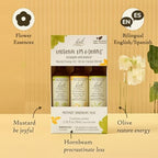 Bach Original Flower Remedies, Emotional Ups & Downs Trio Kit, for Mental Energy (Non-Alcohol Formula), Natural Homeopathic Flower Essence, Vegan, 3 x 10mL Droppers