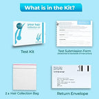 Food Intolerance Test kit, Dietary, Pollen and Gluten Intolerance from Healthy Stuff Online for Kids and Adults, Easy to Use Food Sensitivity Test kit (975 Items Tested, Family Pack)