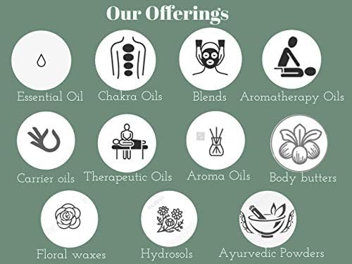 Greenwood Essential Moroccan Rhassoul Clay from the Atlas Mountains 100% Organic Pure & Natural 100gm (3.5 oz)
