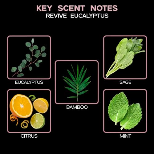 LOVSPA Eucalyptus Reed Diffuser Set for Home, Revive Fresh Eucalyptus, Sage, Citrus & Mint Scent Diffuser with Sticks for Bathroom Shelf Decor Accessories, Top Aromatherapy Gift for Women