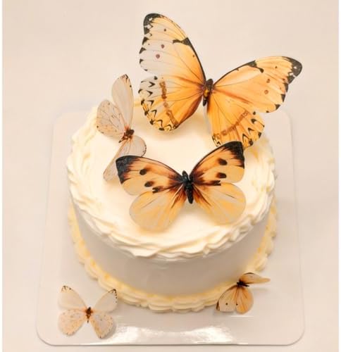 Wafer Edible Orange Butterflies for Cake Decorating Butterfly Cake Toppers & Cupcake Decorations 19x