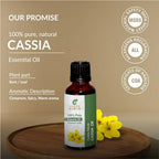 Essential Oils 4oz - 100% Pure and Natural - Therapeutic Grade Oil - Huge 4 Fluid Ounces Bottle with Premium Glass Dropper (Cassia Oil)