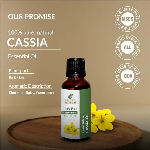 Essential Oils 4oz - 100% Pure and Natural - Therapeutic Grade Oil - Huge 4 Fluid Ounces Bottle with Premium Glass Dropper (Cassia Oil)