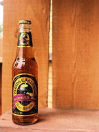 Flying Cauldron Butterscotch Beer (12 Fl Oz (Pack of 12)), Vanilla Butterscotch, All- Natural and Caffeine free.