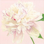 Caspari Duchess Peonies Paper Cocktail Napkins in Blush, 20 Per Package