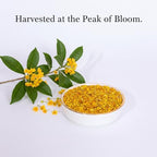 Osmanthus 3.53oz /100g, Dried Osmanthus Flower Edible Osmanthus Loose Leafe Tea, Chinese Traditional Fragrans Tea for Bervage, Food, Baking, Jam, Gui Hua 桂花茶