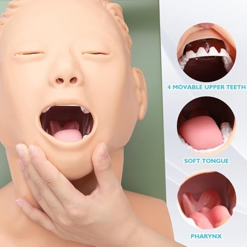 Airway Management Trainer, Tracheal Intubation Strain Training Simulator Model, Intubation Manikin, Intubation Head Teaching Study Manikin