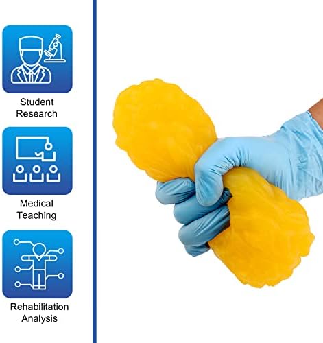 Human Body Fat Replica, 1 lb Fat Anatomy Model for Anatomy Class Display, Stay Healthy, Weight Loss Motivation Reminder
