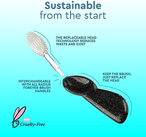 RADIUS Big Brush with Replaceable Head Toothbrush BPA Free & ADA Accepted Designed to Improve Gum Health & Reduce Gum Issues - Right Hand - Coral/Purple/Soda Pop - Pack of 3