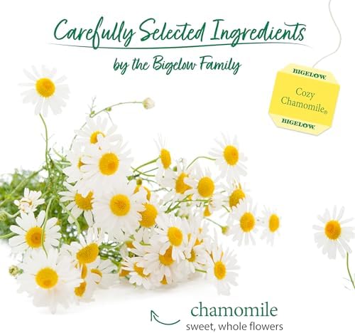 Bigelow Cozy Chamomile Herbal Tea,Caffeine Free Tea with Chamomile Flowers, 100 Count Box (Pack of 1)