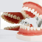 Dental Orthodontic Photography Mirror Oral Mirrors Teeth Stainless Steel Reflector