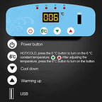 12L Insulin Cooler Refrigerated Box,Insulin Travel Case,LED Display 2-8℃,Medicine Refrigerator Cooler,Car USB Charger,Keep Diabetes Medication Isolated,for Car,Travel,Home