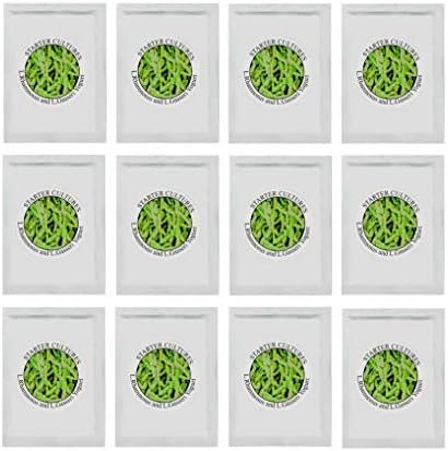 Yogurt Starter Cultures - Pack of 12 Freeze-Dried Sachets for Lactobacillus Rhamnosus and L.Gasseri Yogurt (12 sachets Pack)