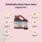 Lily of the Desert Aloe Vera Juice, Whole Leaf Filtered, Organic & Preservative Free – Natural Vitamins, Digestive Enzymes for Gut Health, Glowing Skin & Wellness, 16 Fl Oz