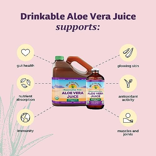 Lily of the Desert Aloe Vera Juice, Whole Leaf Filtered, Organic & Preservative Free – Natural Vitamins, Digestive Enzymes for Gut Health, Glowing Skin & Wellness, 16 Fl Oz