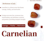 SUNYIK Carnelian Tumbled Chips Stone Crushed Pieces Irregular Shaped Stones 1pound(about 460 gram)