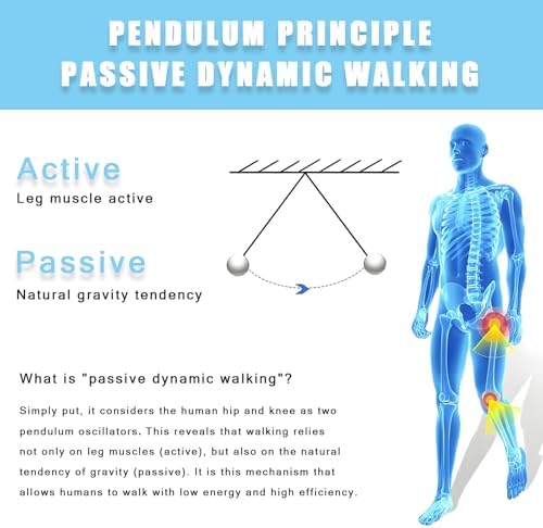 Bionic Walking Aid for Elderly & Limited Mobility Adjustable, No Power Needed for for Daily Use & Extended Walks Right-Leg-M