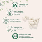Micro Ingredients Saccharomyces Boulardii Probiotics 10 Billion CFU with Prebiotics, 240 Vegetarian Capsules | 2-in-1 Probiotic & Prebiotic Blend | Added Inulin from Chicory Root | Non-GMO