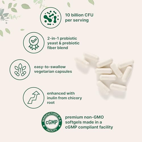Micro Ingredients Saccharomyces Boulardii Probiotics 10 Billion CFU with Prebiotics, 240 Vegetarian Capsules | 2-in-1 Probiotic & Prebiotic Blend | Added Inulin from Chicory Root | Non-GMO
