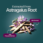 Astragalus Root | 8 Month Supply | Immune & Energy Support | 20:1 Astragalus Extract with 70% Polysaccharides | High-Concentration Adaptogen Support for Vitality | Vegan & Non-GMO | 250 Capsules