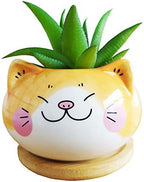Cuteforyou Cute 3.5 Inches Indoor Cartoon Animal Cat Shaped Ceramic Succulent Cactus Flower Plant Pots with Bamboo Tray-Plant Not Included (Yellow)