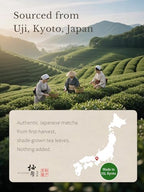 YUZUKI Matcha Powder 100g - Japanese Ceremonial Grade Matcha Green Tea Powder- First Harvest - Product of Japan, Uji Kyoto - Zero Sugar - USDA and JAS Certified (3.5 oz)