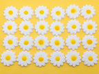 24pk White Daisies Sugar Decoration Toppers for Cakes Cupcakes Cake Pops