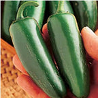 Generic Mucho Nacho Hot Peppers Seeds (45 Seeds)