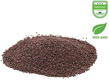 AIVA Mustard Seeds Brown (RAI SARSON) Whole I All Natural | Indian Origin - Ideal seasoning for sauces/dips/spice blends - (5 LB)
