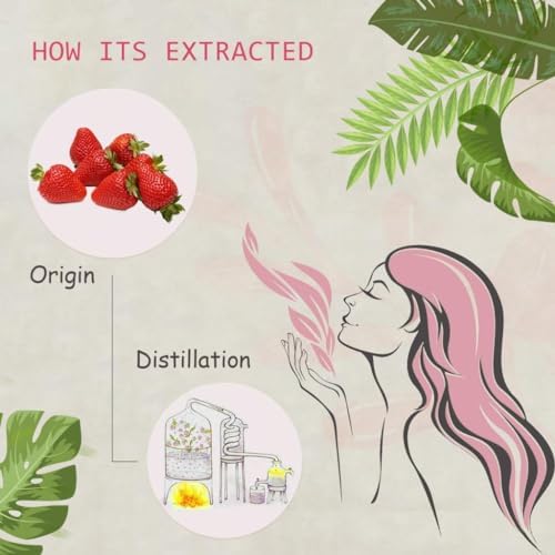 2-Pack Strawberry Essential Oil - 100% Pure Organic Natural Plant (Fragaria x ananassa) Strawberry Oil for Diffuser, Aroma, Spa, Massage, Yoga, Perfume, Body - 2x10ML