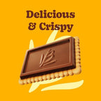 Bauducco Choco Biscuit Cookies – Crispy Chocolate-Covered Biscuits, Individually Wrapped for Snacking, Dessert, and Lunch Boxes, 15.2 oz (Pack of 24)