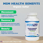 KALA HEALTH MSMPure MSM Vegetarian Capsules – 1,000 mg US-Sourced MSM per Capsule for Joint Health, Skin Appearance, Hair & Nail Support – 120 Count, Organic Sulfur