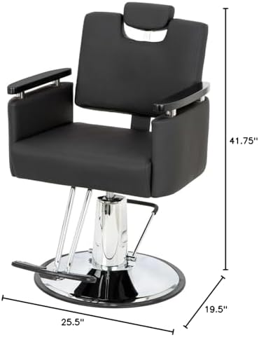 Buy-Rite Carlton Reclining All-Purpose Salon Chair, Professional Hydraulic Styling Chair for Hair, Barber, Shampoo, Threading, Waxing, Adjustable Headrest, 550 lb Lift, Black, YLG-166
