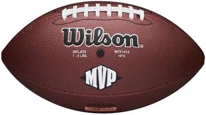 WILSON NFL Recreational Footballs