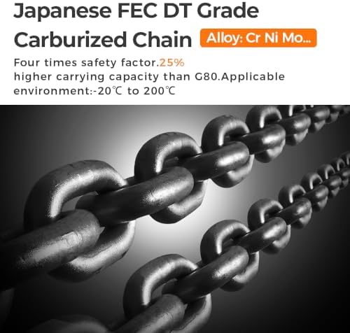ANBULL 2200lbs FEC Chain Electric Lift Hoist Single Phase Overhead Crane Hoist, DT Grade Carburized Double Chain Hoist with Two 360° Rotatable Hook for Garage Ceiling.(1Ton, 110V,10ft Lift Height)