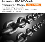 ANBULL 2200lbs FEC Chain Electric Lift Hoist Single Phase Overhead Crane Hoist, DT Grade Carburized Double Chain Hoist with Two 360° Rotatable Hook for Garage Ceiling.(1Ton, 110V,10ft Lift Height)