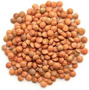 Yupik Organic Brown Lentils, 2.2 lb (35.2 oz), Non-GMO, Vegan, Gluten-Free, Kosher, Raw, Salt-Free, High in Fiber & Protein, Ideal for Soups, Salads & Meat Alternatives