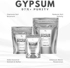 97% Pure Gypsum Powder, 1 lb – High Solubility Calcium Sulfate Dihydrate for Soil, Gardens, Lawns, and Mushroom Substrate