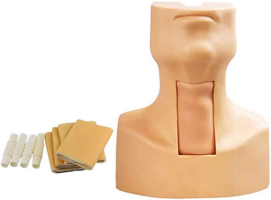 GHDE&MD PVC Tracheostomy Simulator Model, Cricothyrotomy, Tracheotomy Care Training Manikin