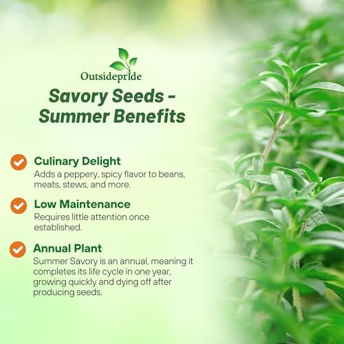 Outsidepride Summer Savory Seeds - 1/4 lb Annual Culinary Herb Seeds for Planting with Aromatic Leaves, Drought Tolerant & Compact for Container, Raised Bed, & Kitchen Herb Garden