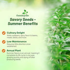 Outsidepride Summer Savory Seeds - 1/4 lb Annual Culinary Herb Seeds for Planting with Aromatic Leaves, Drought Tolerant & Compact for Container, Raised Bed, & Kitchen Herb Garden