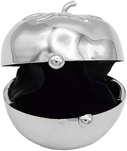 Silver Tomato Shaped Pocket Purse Portable Travel Pill Box & Medicine Organizer (1 Large Compartment)