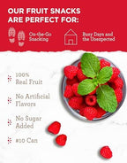 READYWISE - Simple Kitchen Freeze Dried Raspberries, 22 Servings, Vegan, Gluten Free, Healthy Snack, Survival Food, Dried Fruit, Raspberries