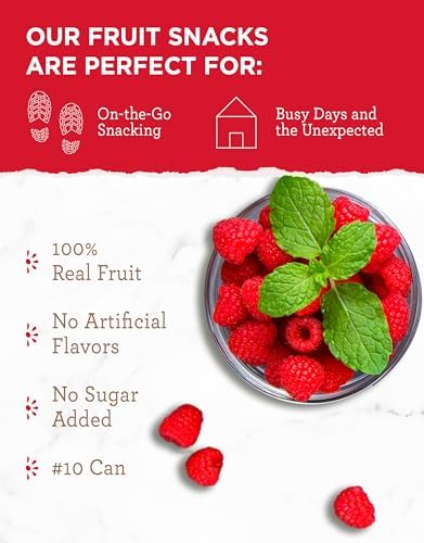 READYWISE - Simple Kitchen Freeze Dried Raspberries, 22 Servings, Vegan, Gluten Free, Healthy Snack, Survival Food, Dried Fruit, Raspberries