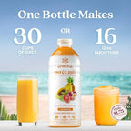 Smartfruit Tropical Harmony + Aloe – 100% Real Fruit Purée with Pineapple, Passion Fruit, Papaya & Guava – Great for Smoothies, Juice, Yogurt, Cocktails, Teas & More – High in Vitamin A & C – 48oz