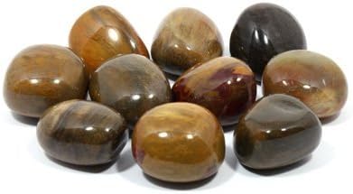 CrystalAge Fossil Wood Tumble Stone (20-25mm) - Pack of 5