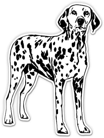 Dalmatian Stickers - 2 Pack - Waterproof Vinyl for Car, Phone, Water Bottle, Laptop - Dalmatian Dog Decals (2-Pack)