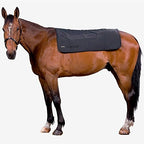 Back on Track Therapeutic Horse Back Pad