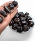 Garnet Tumbled Stone - Healing Stone - Crystal Healing - 20-25mm (1)