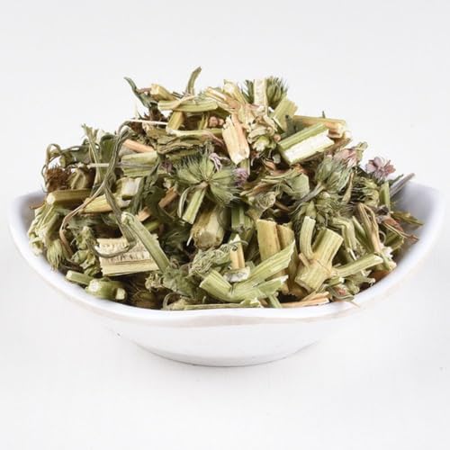 President Brand Motherwort Herb 1lb New Packaging Motherwort Herb Yi Mu Cao 16oz 益母草